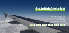 中東跨境電商中東貨運物流要具備