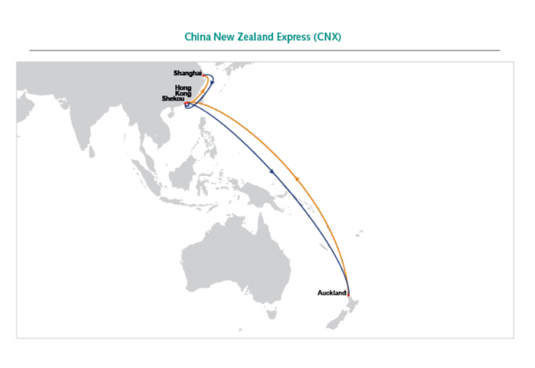 航線快訊！11月中旬，東方海外將新增一條新西蘭直航服務CNX